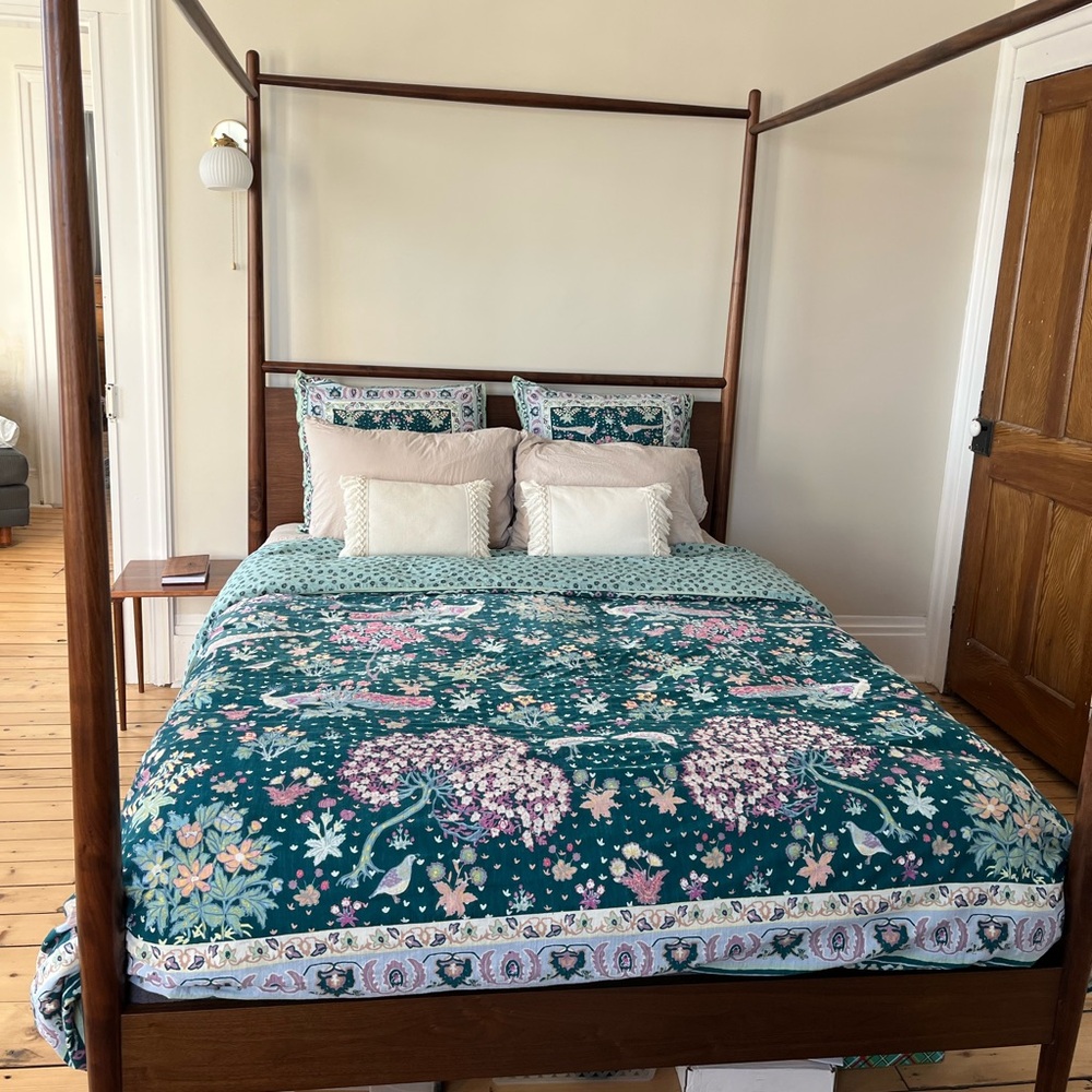 Anthropologie Duvet and Euro Shams